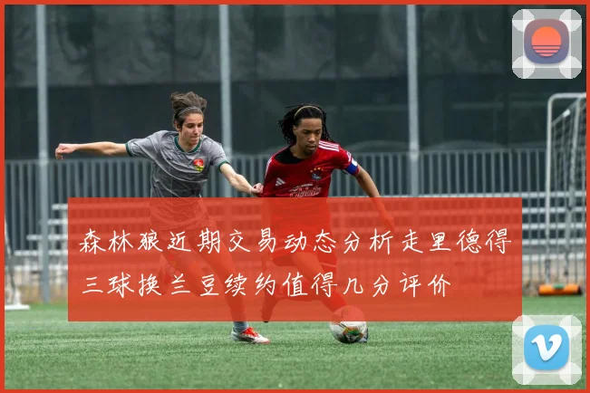 森林狼近期交易动态分析走里德得三球换兰豆续约值得几分评价